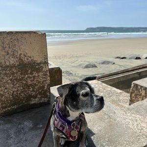 Meet your Posher, Helena